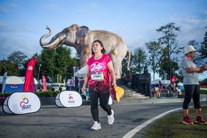 BIB: 
                            <button type="button" onclick="openModal(26541911)" class="btn btn-primary btn-sm float-right btn-popup" data-toggle="modal" data-target=".modal-high-quality">
                        <i class="fas fa-shopping-cart"></i> Add to Cart
                    </button>
                                            <button type="button" onclick="isThisMe(26541911, true)" class="btn btn-success btn-sm float-right btn-popup btn-isme hidden" data-toggle="tooltip" data-placement="bottom" title="นี่คือรูปของคุณใช่ไหม คลิกที่นี่เพื่อเอาเข้าอัลบั้ม">
                        <i class="fas fa-plus"></i> Add to album
                    </button>
                    <button type="button" onclick="isThisMe(26541911, false)" class="btn btn-warning btn-sm float-right btn-popup btn-isnotme hidden">
                        <i class="fas fa-ban"></i> Remove from album
                    </button>